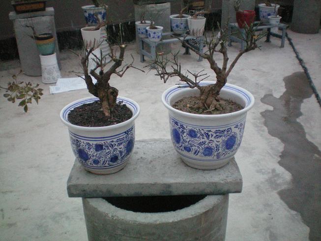 100_0764.JPG