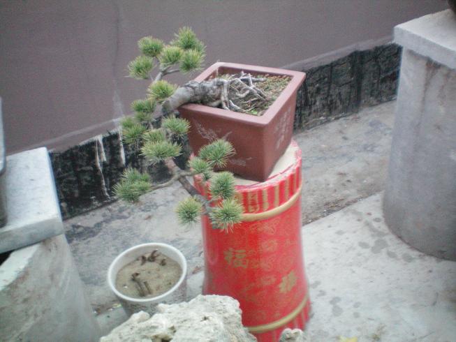 100_0767.JPG