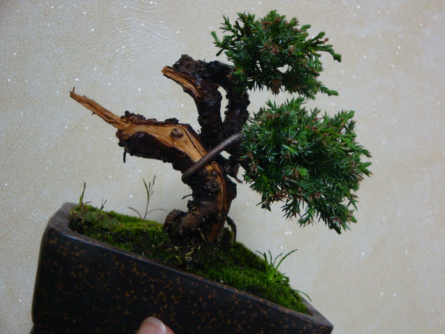 DSC07200.JPG
