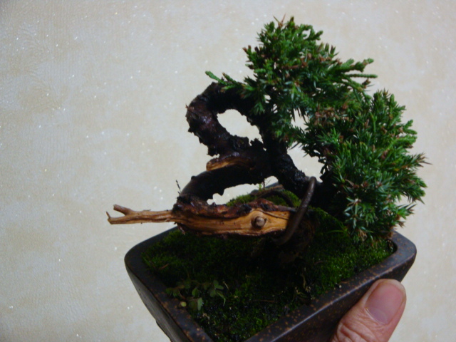 DSC07202.JPG