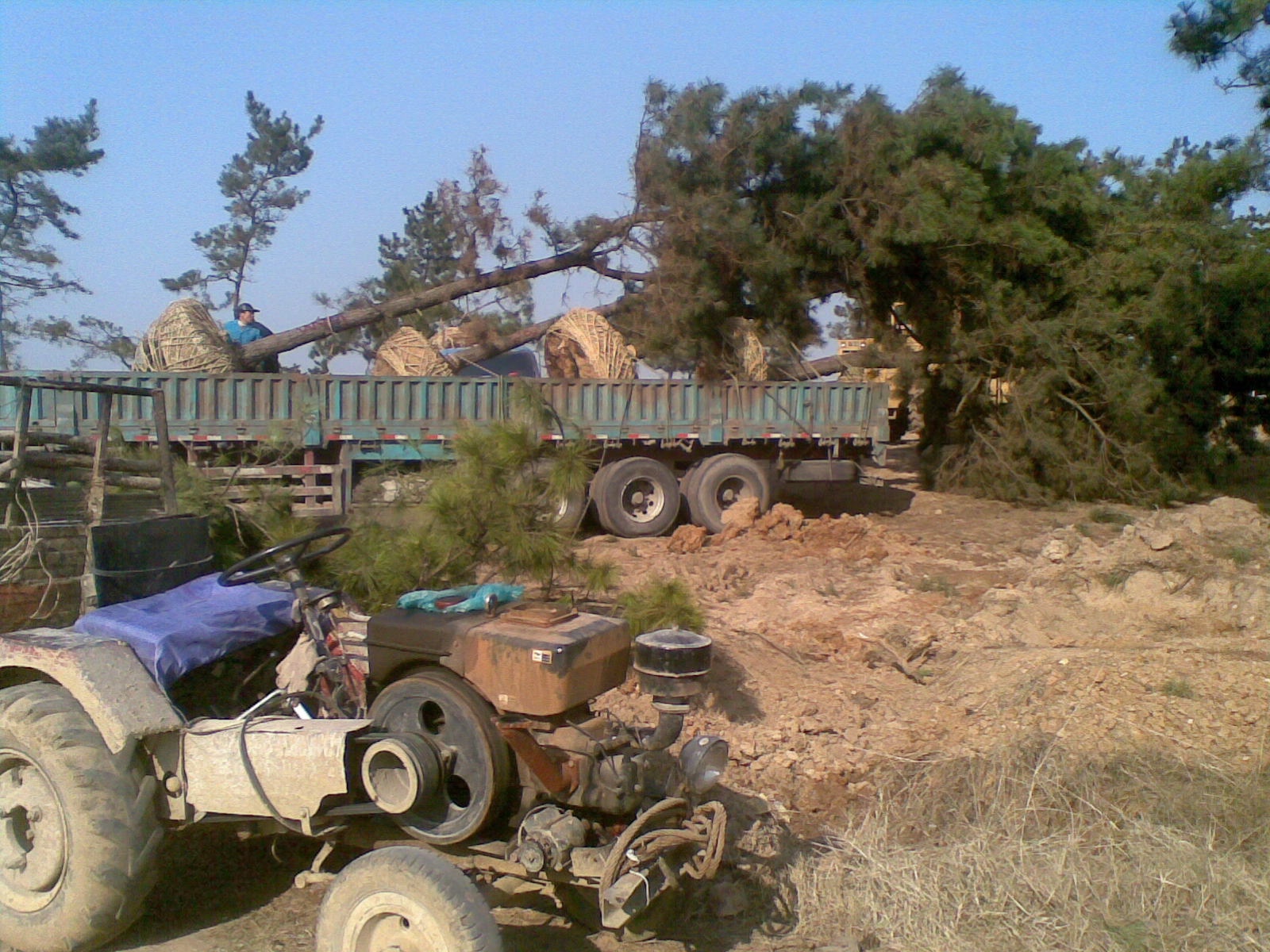 20111216(002).jpg
