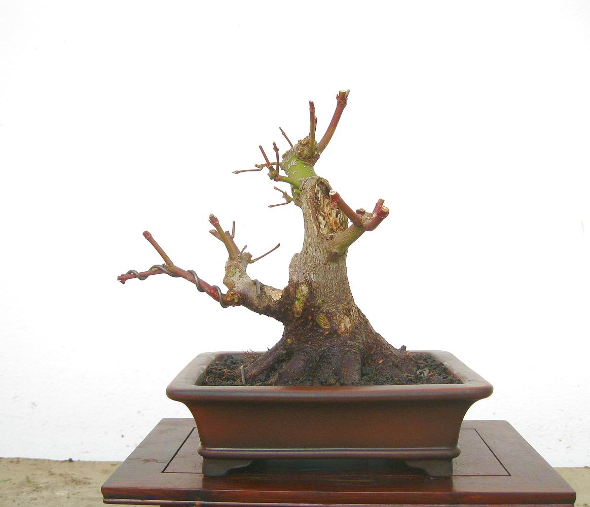 20111229