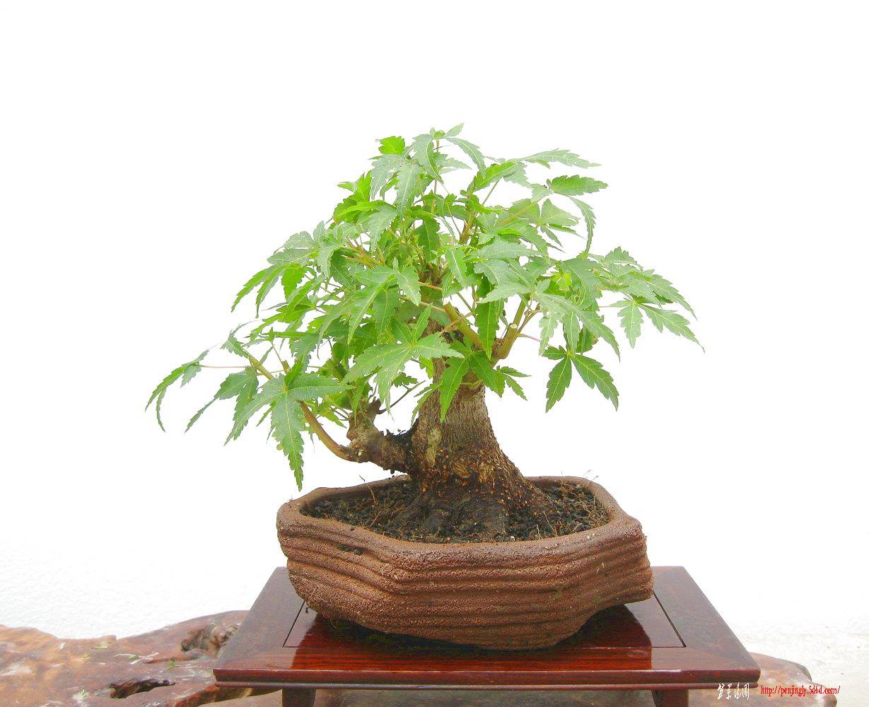 20101117