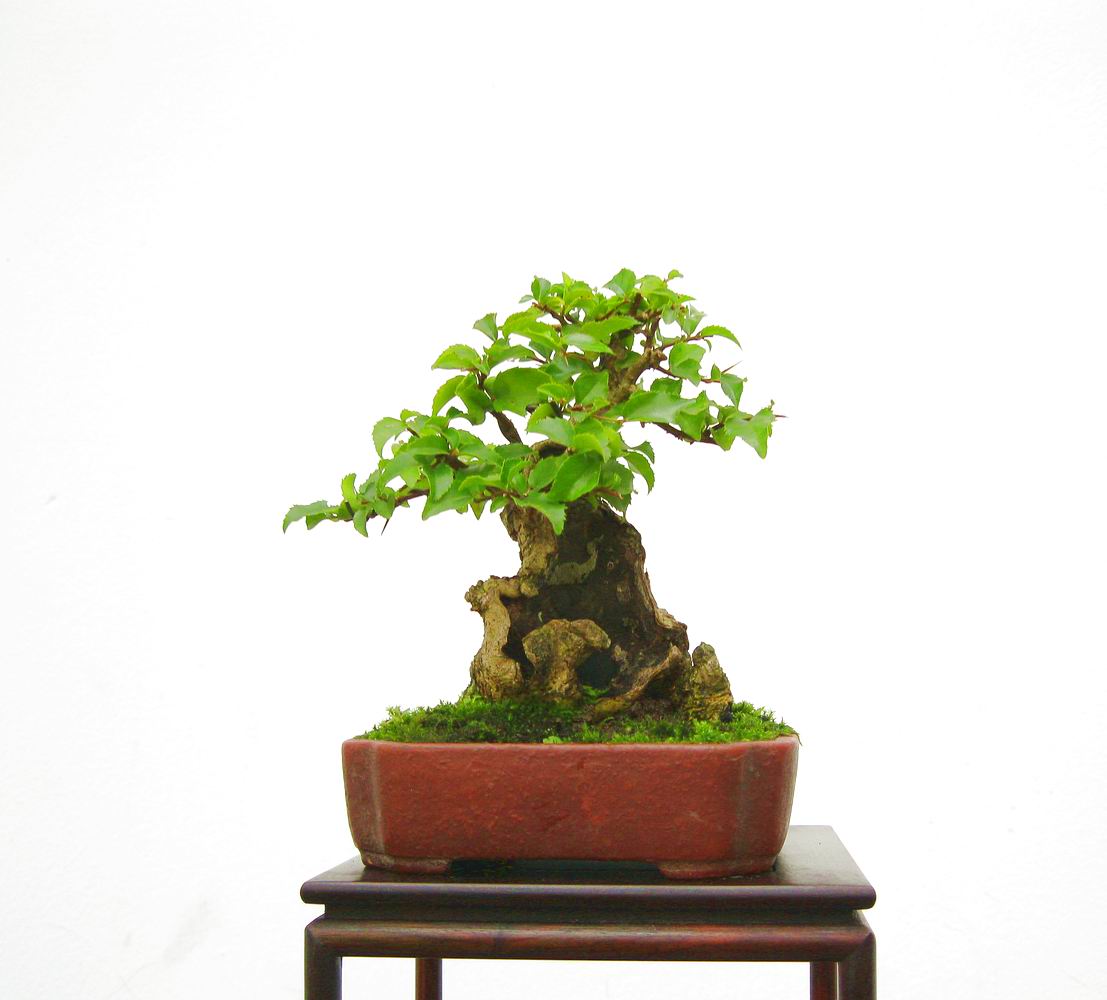 2010711