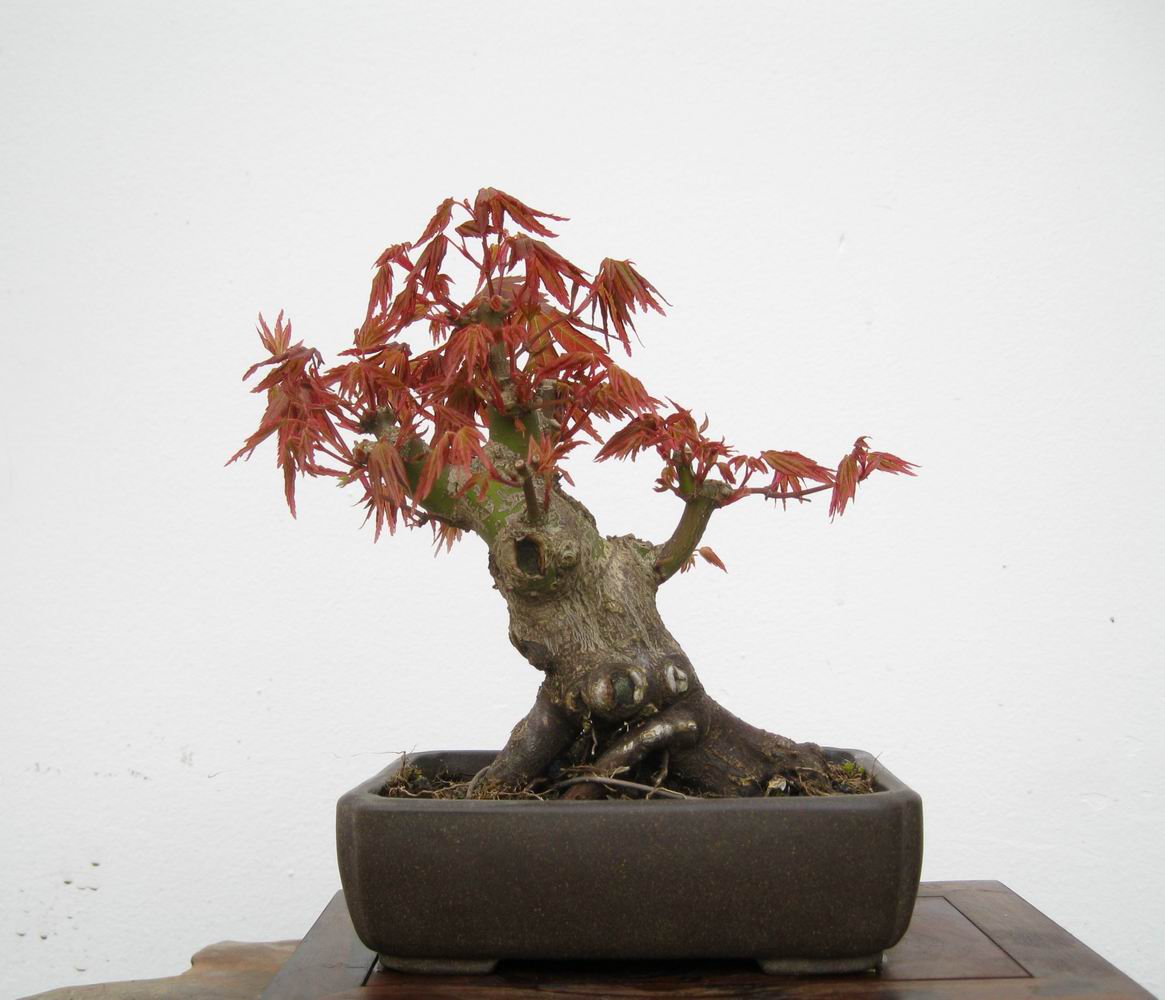 201141