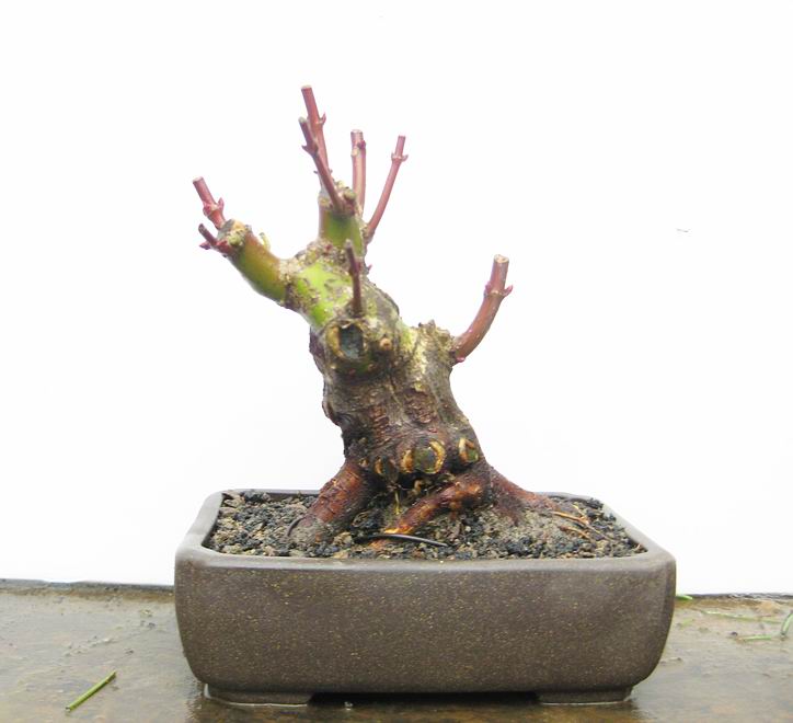 201026