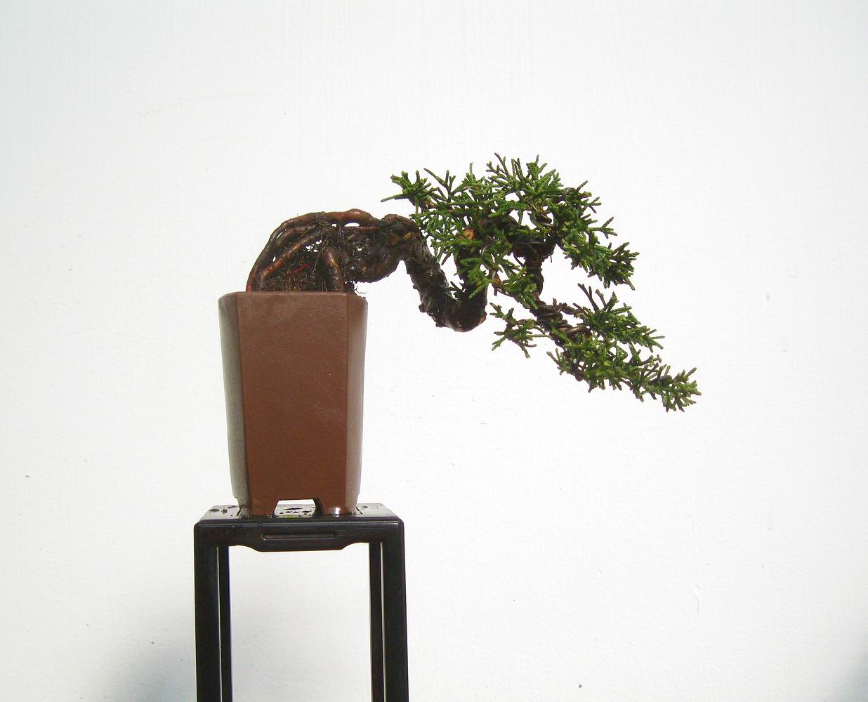 2011112
