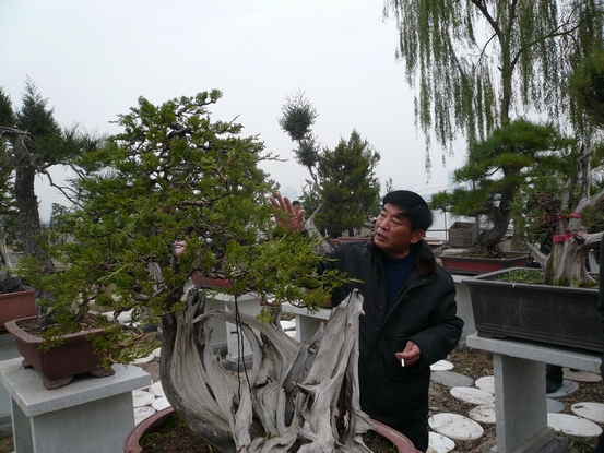 P1110024.JPG