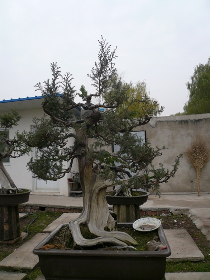 P1110051.JPG