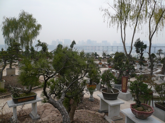 P1110053.JPG