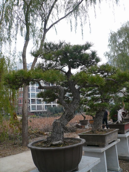 P1110058.JPG