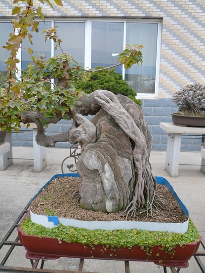 P1110071.JPG