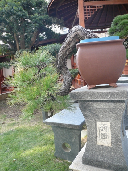 P1110150.JPG