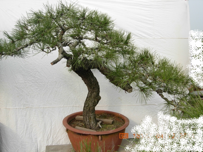 DSCN4718.JPG