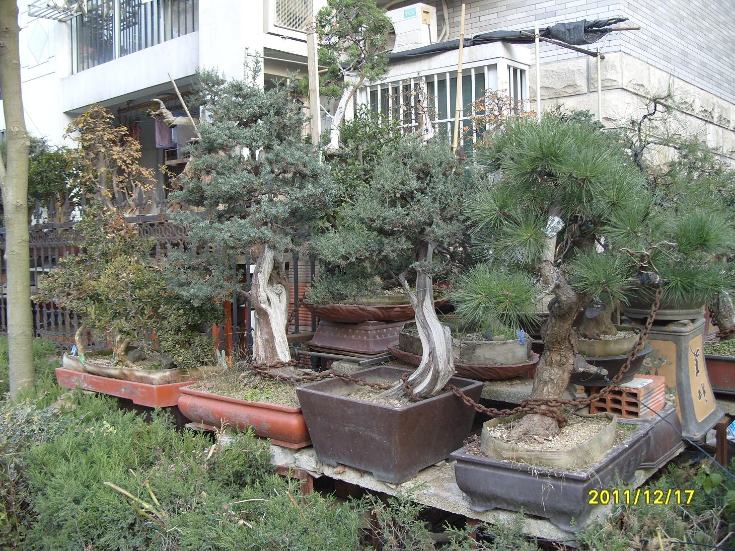 S1054122.JPG