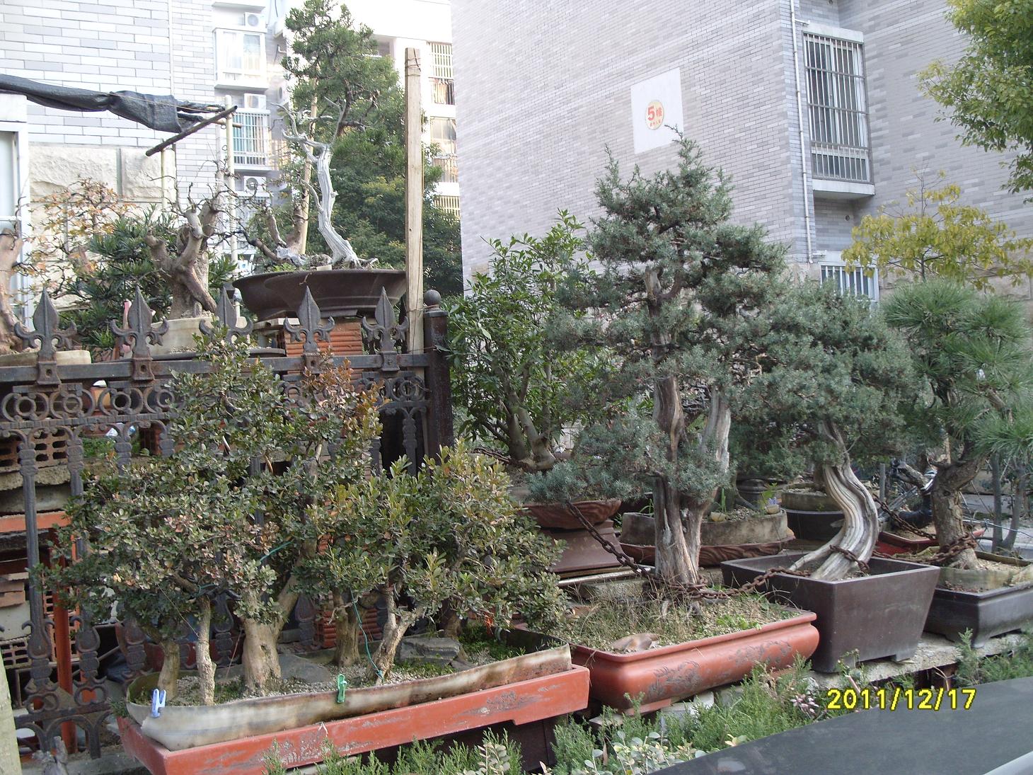 S1054124.JPG