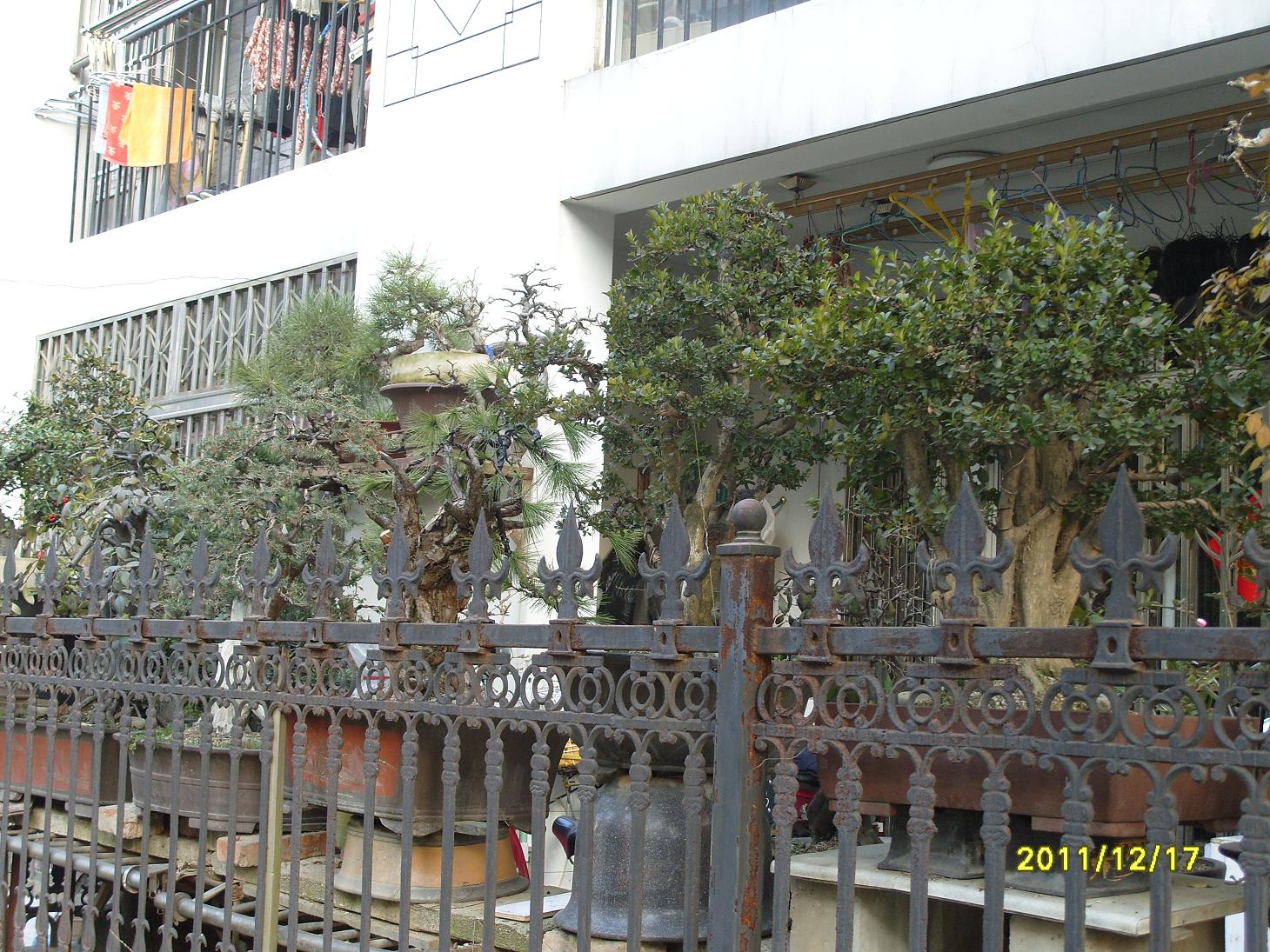 S1054125.JPG