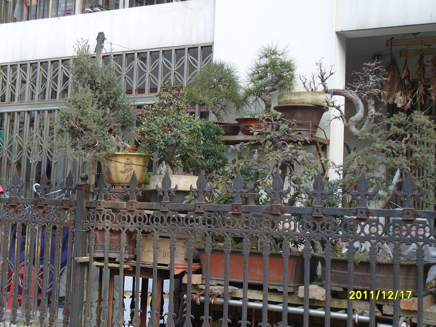 S1054126.JPG