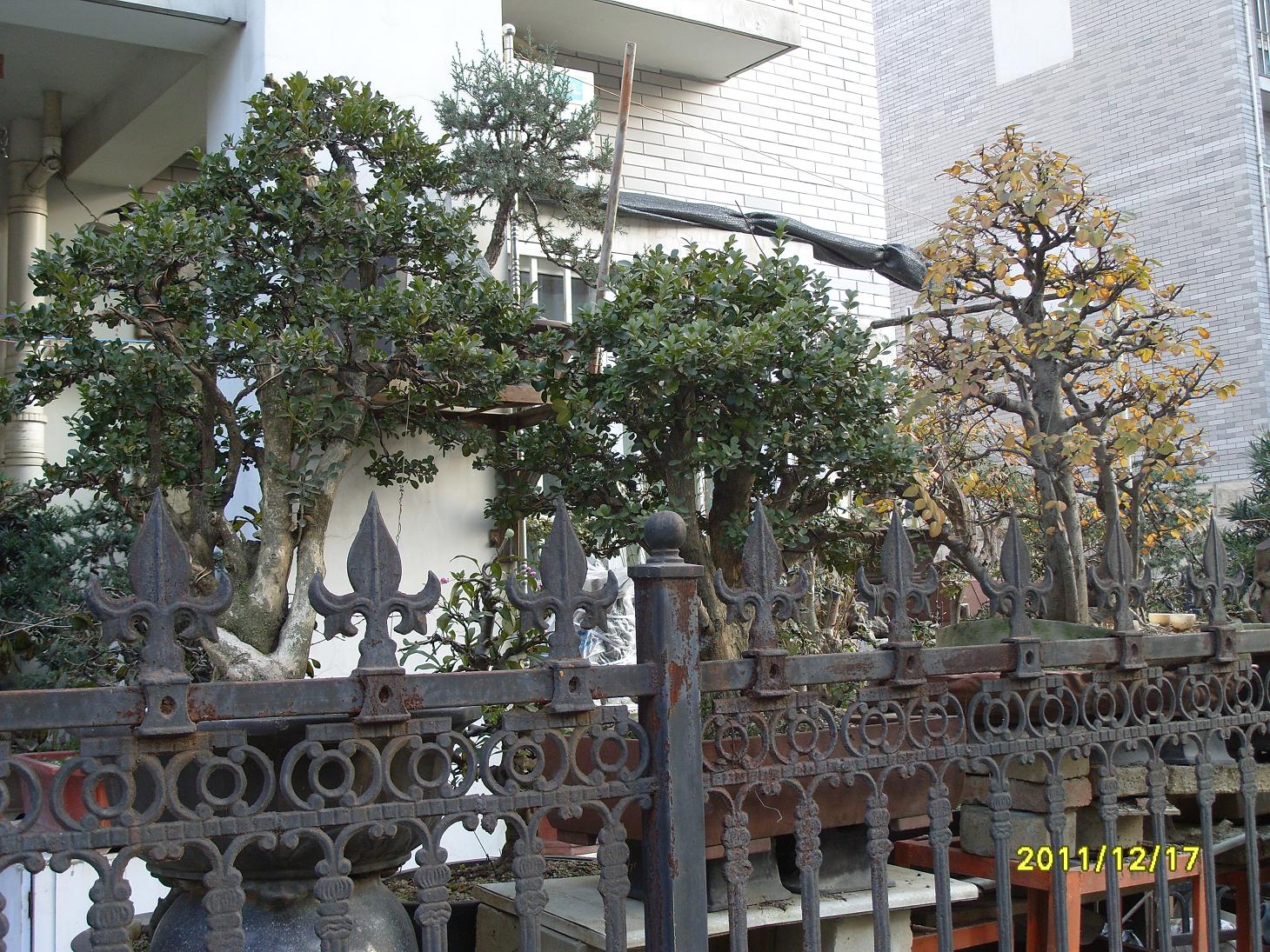 S1054131.JPG
