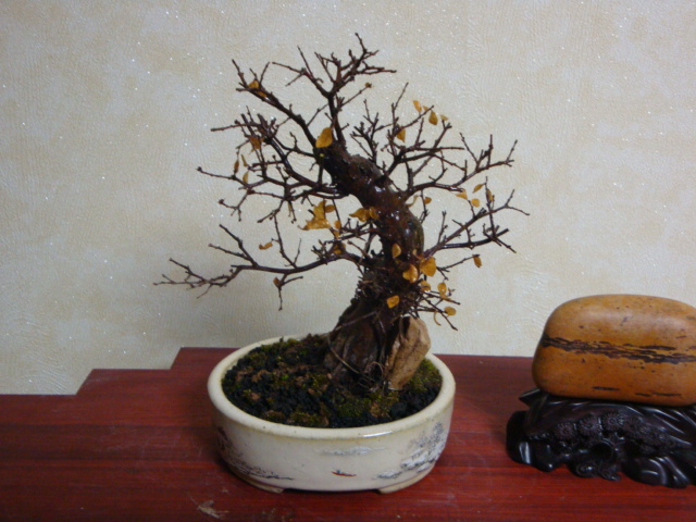 DSC07224.JPG
