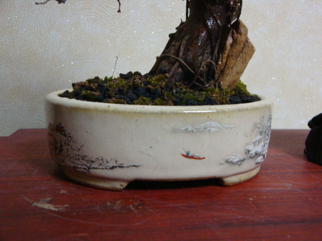 DSC07225.JPG