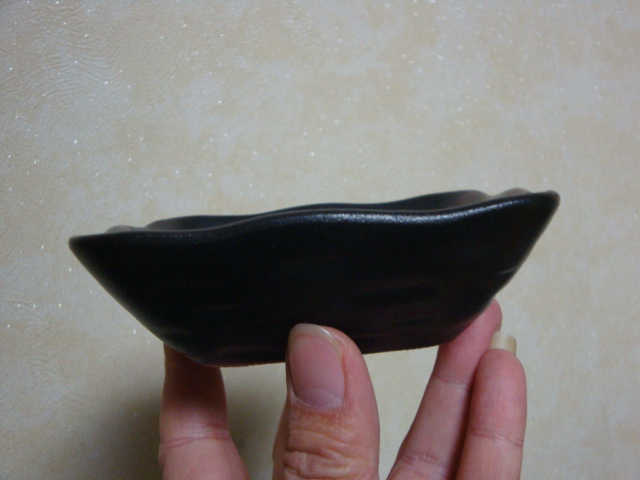 DSC07216.JPG