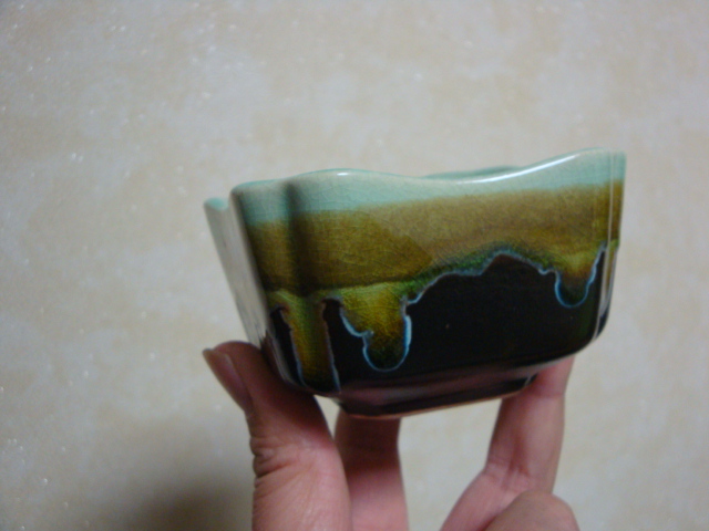 DSC07220.JPG