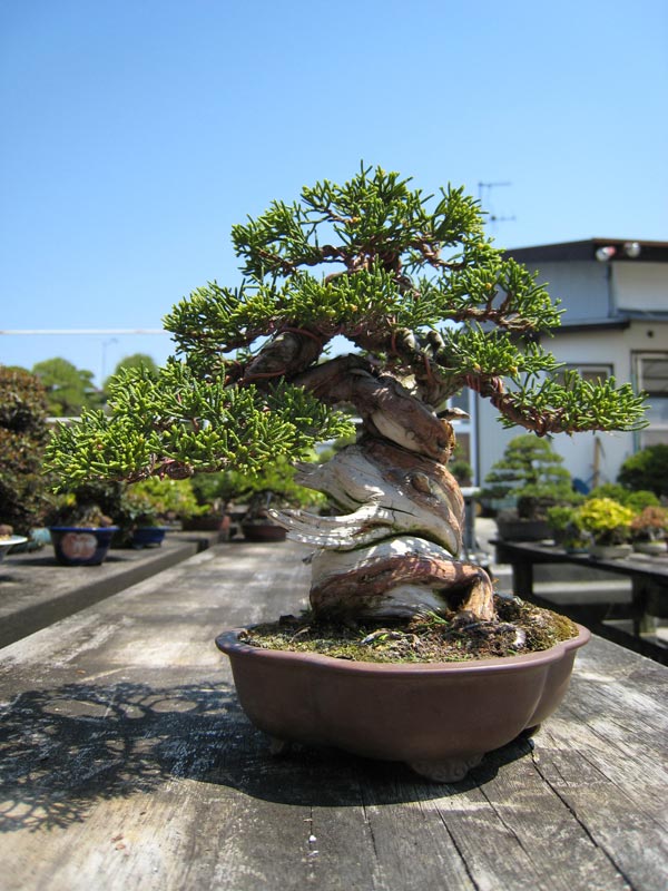 11-070.jpg