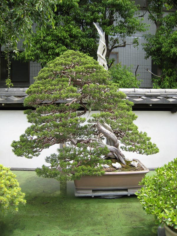 11-004.jpg