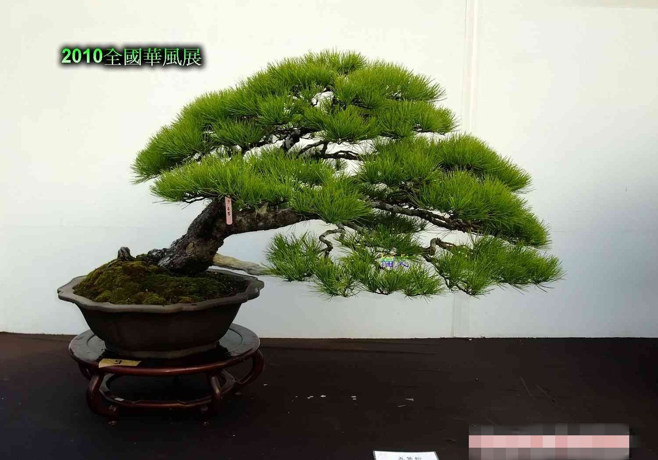 F23_20110106075309628_conew1.jpg