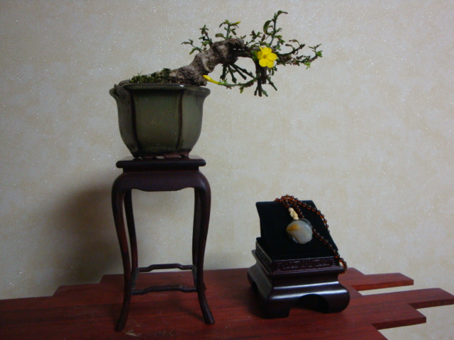 DSC07229.JPG