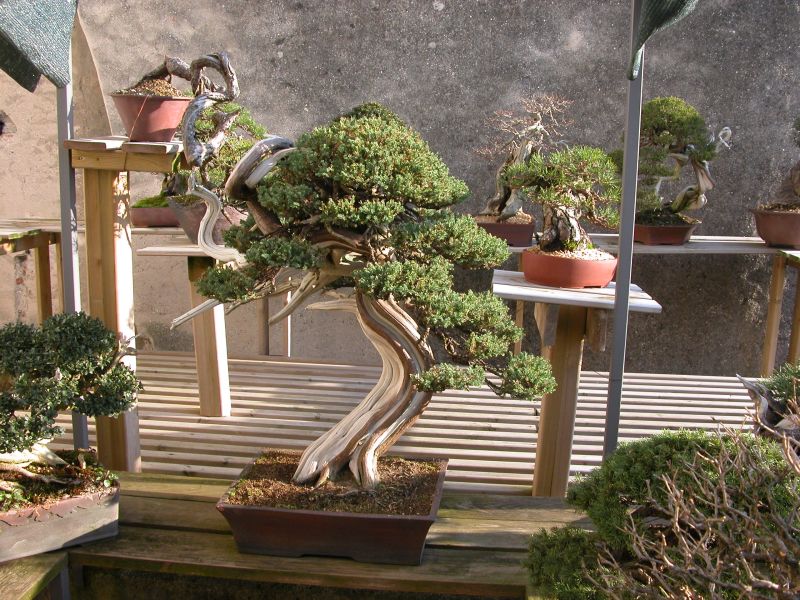 spring2010_1.jpg