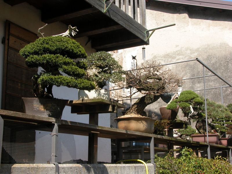 spring2010_8.jpg
