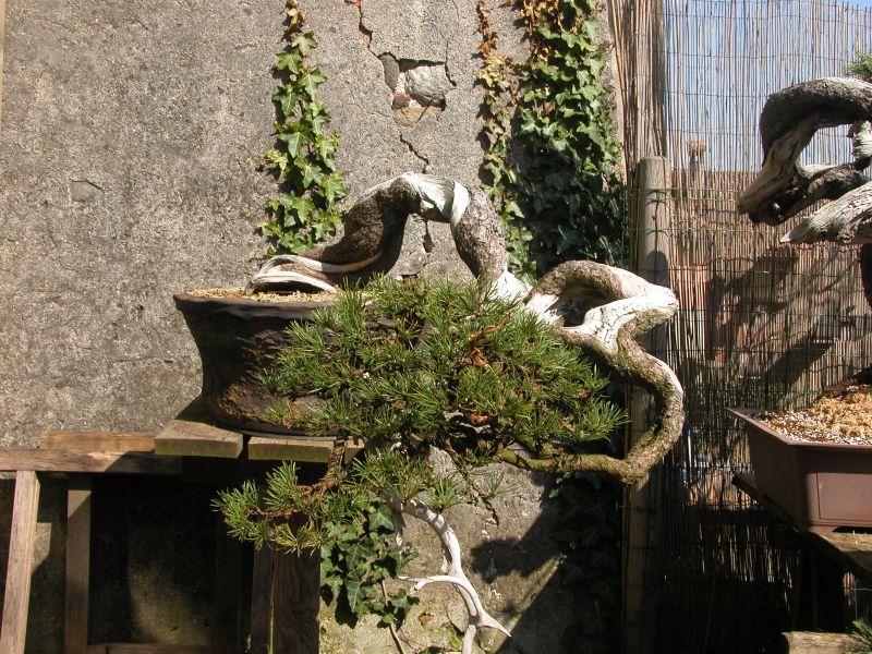 spring2010_10.jpg