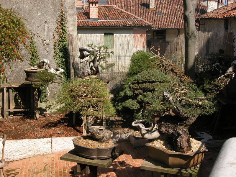 spring2010_13.jpg