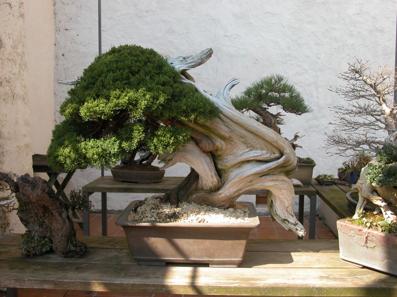 spring2010_14.jpg