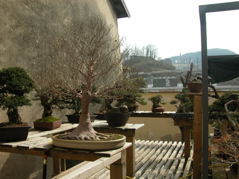 spring2010_18.jpg