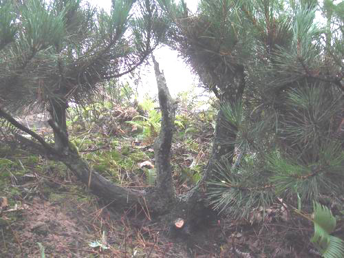 DSCF3747.jpg