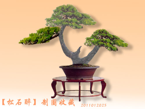 2011010025.jpg