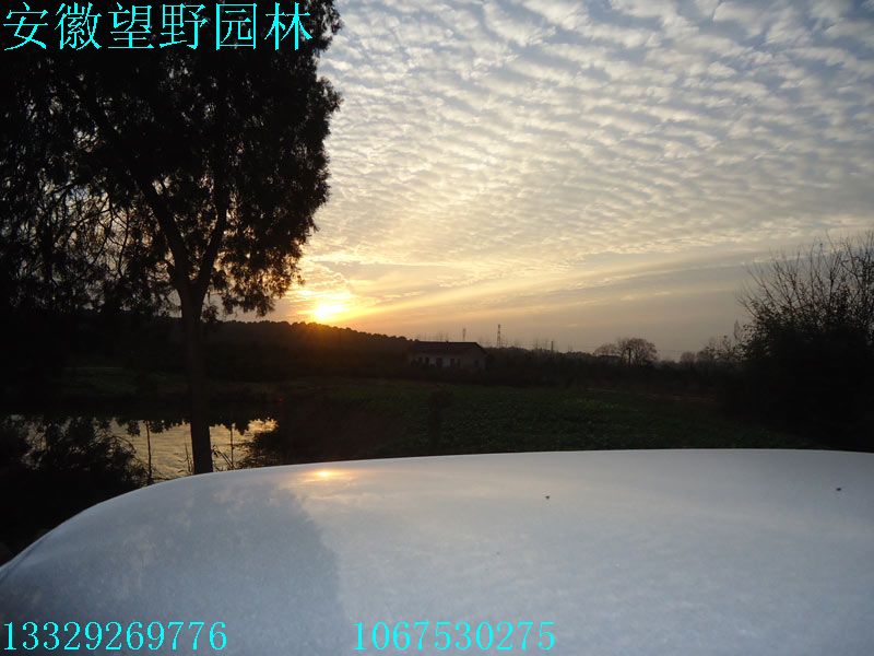 DSC03061.jpg