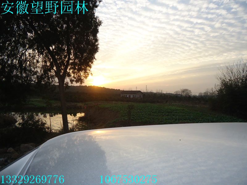DSC03062.jpg