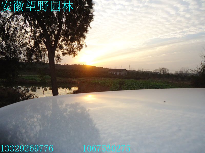 DSC03065.jpg