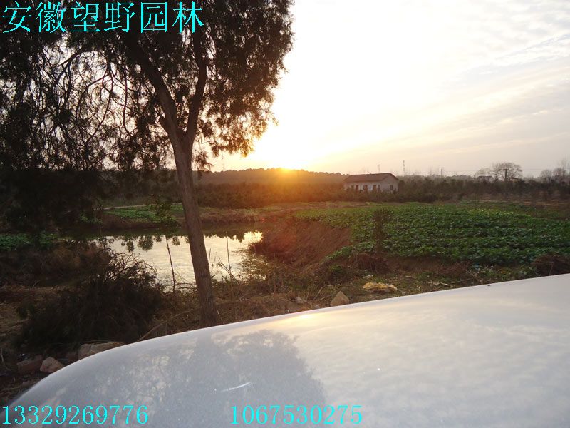 DSC03066.jpg