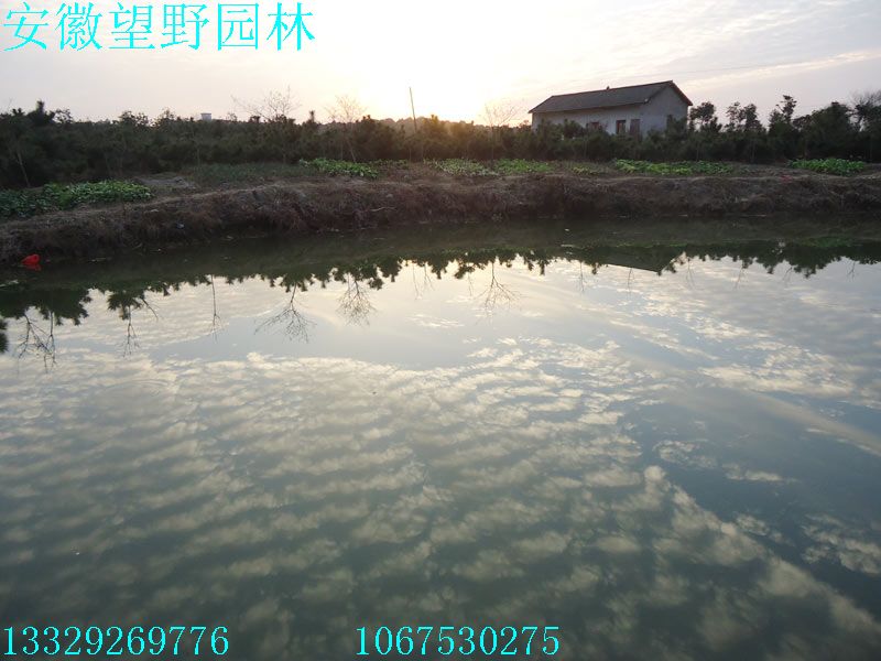 DSC03072.jpg