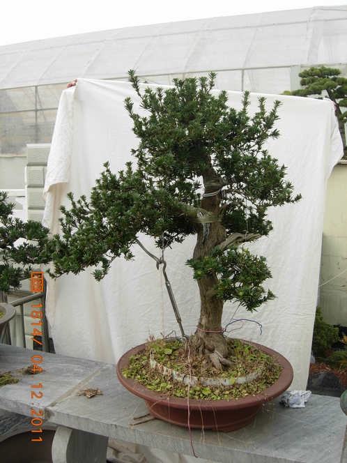 DSCN4784.JPG
