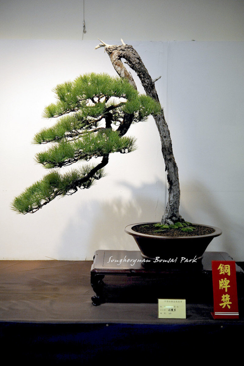 qIN6oov_fxb5f7DBui4nTw.jpg
