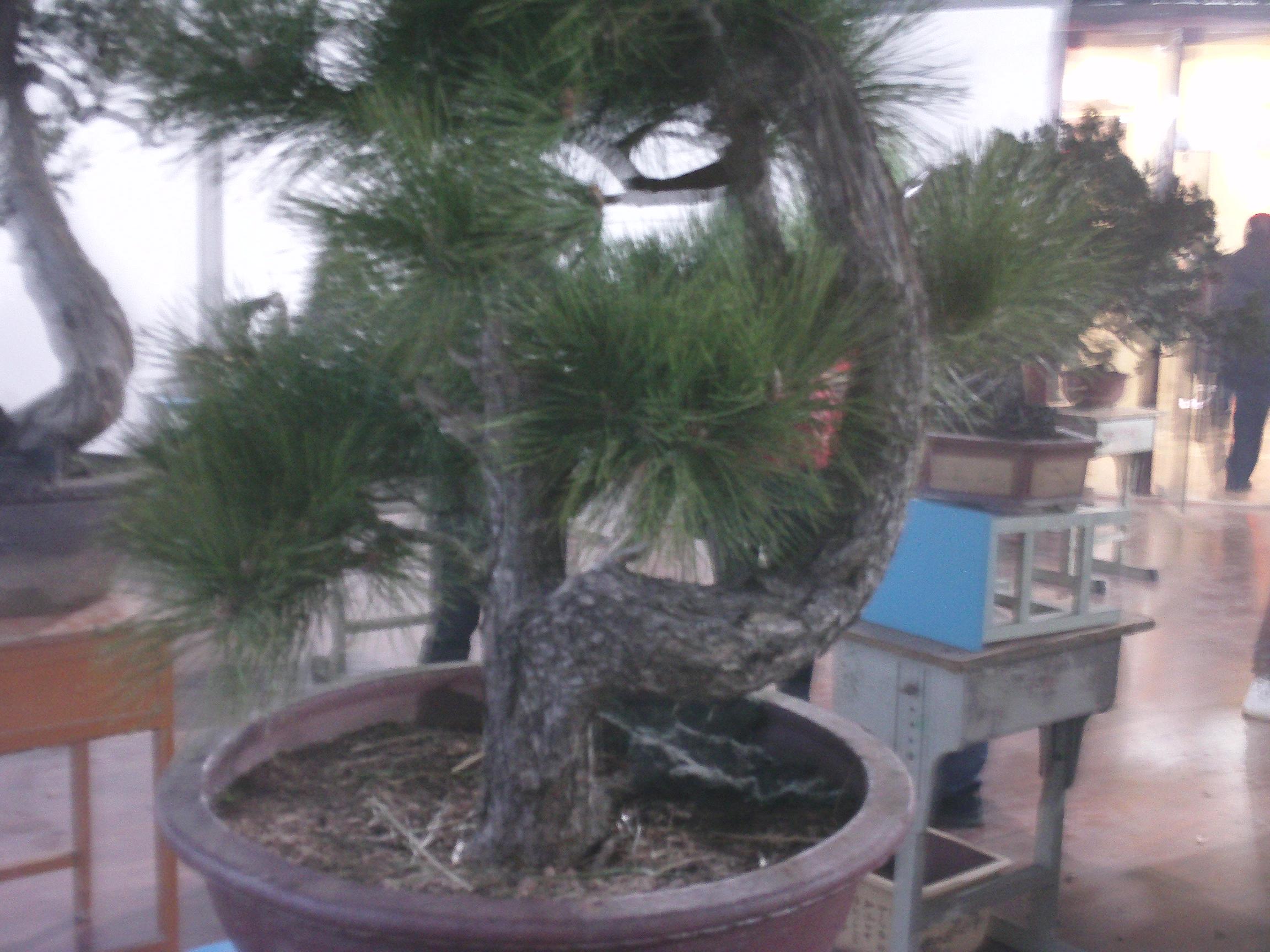 IMAG0285.JPG