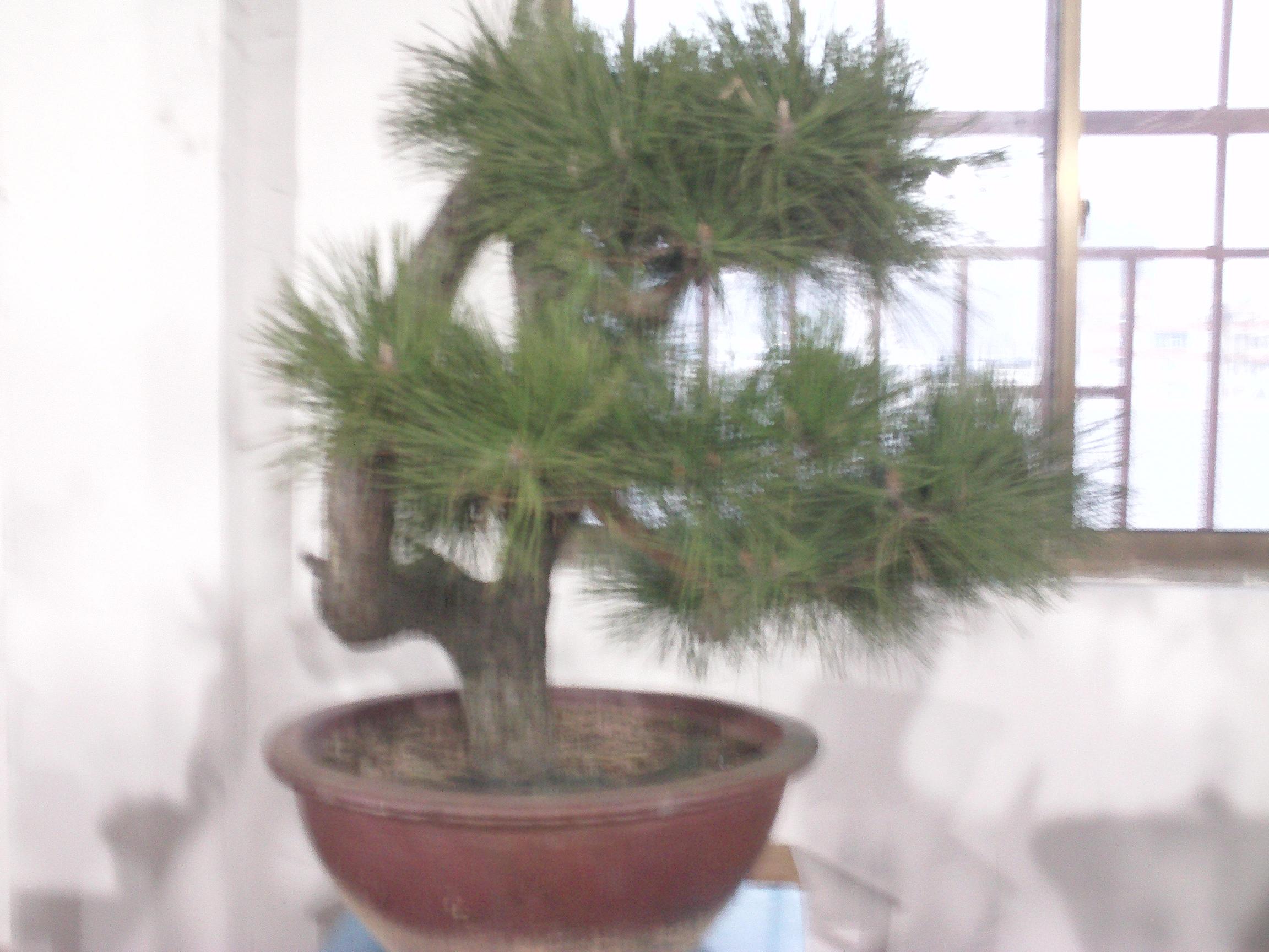IMAG0284.JPG