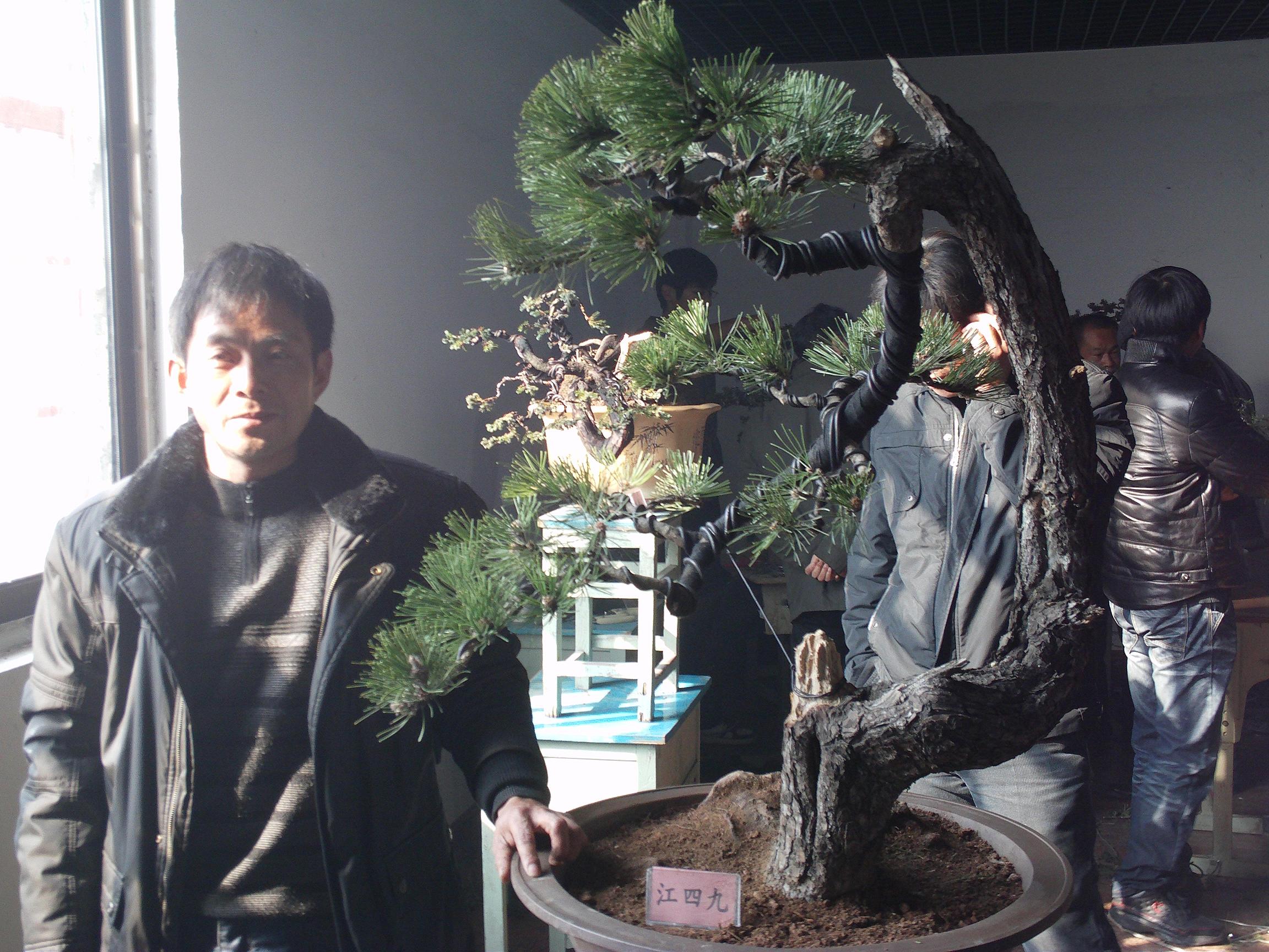 IMAG0343.JPG