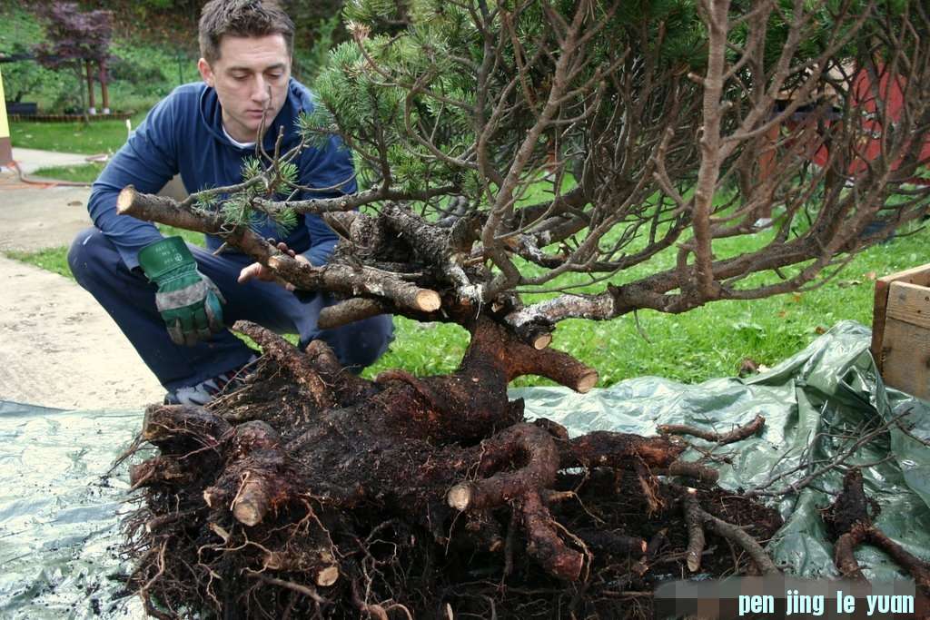 Mugo, posuda 121_conew1.jpg